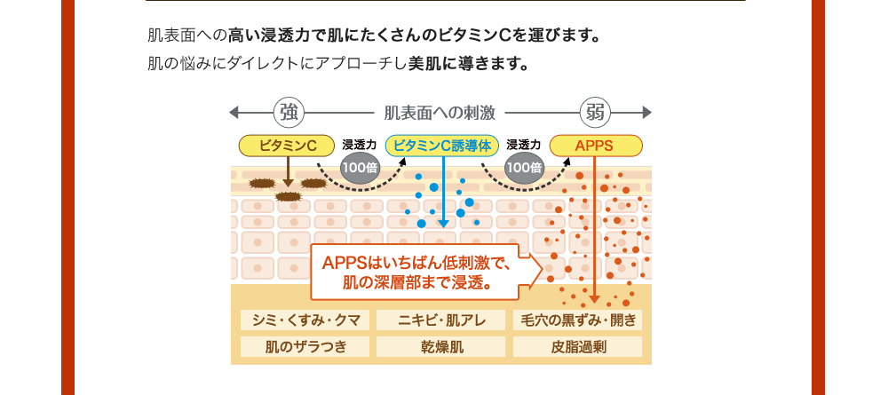 肌表面への高い浸透力で肌にたくさんのビタミンCを運びます。肌の悩みにダイレクトにアプローチし美肌に導きます。