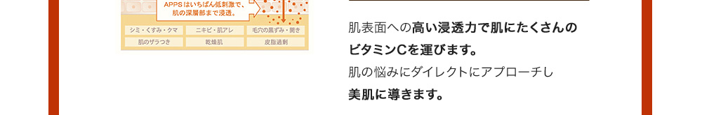 肌表面への高い浸透力で肌にたくさんのビタミンCを運びます。肌の悩みにダイレクトにアプローチし美肌に導きます。