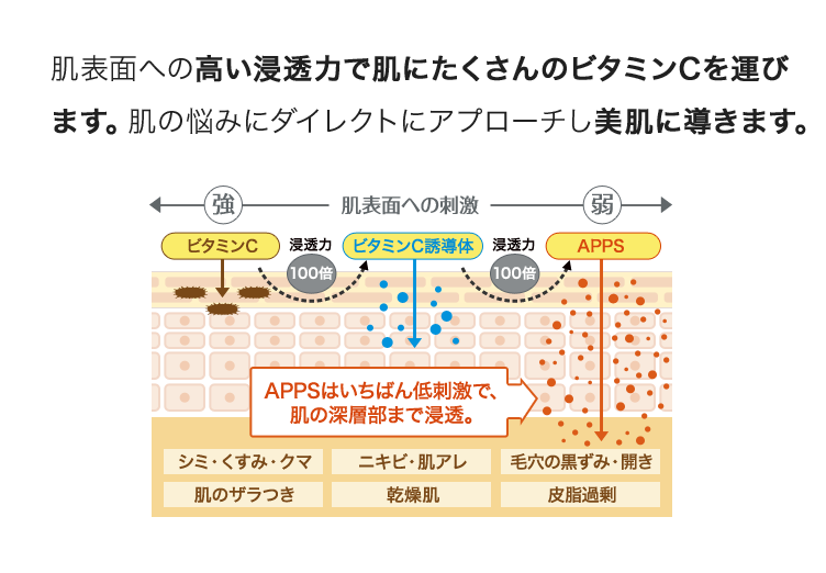 肌表面への高い浸透力で肌にたくさんのビタミンCを運びます。肌の悩みにダイレクトにアプローチし美肌に導きます。