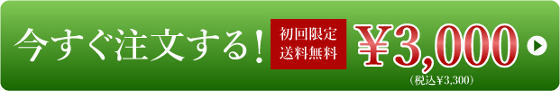 今すぐ注文する！