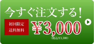 今すぐ注文する！